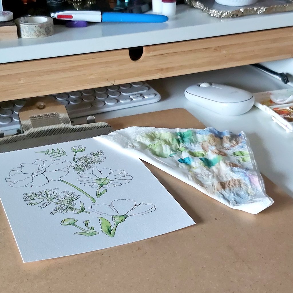 🌻|| paulina ||🌻 tweet media