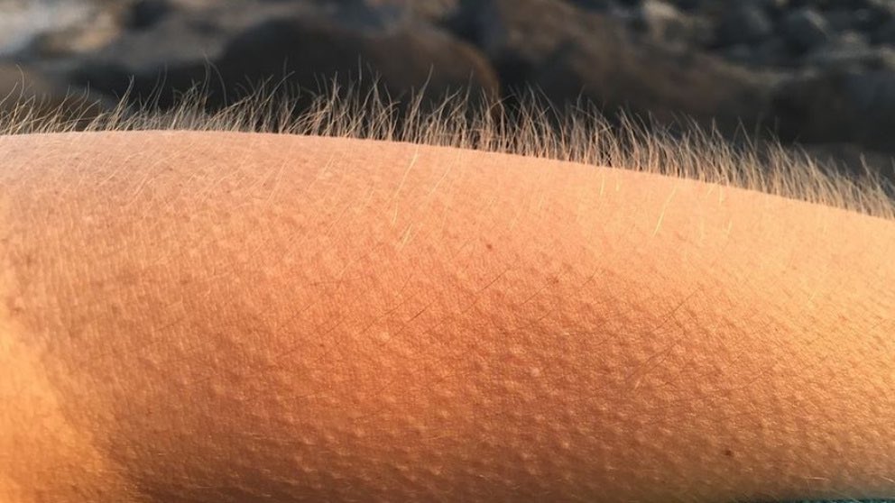 LA VIDA ES ESAS COSA’ QUE SE APRENDEN CUANDO UNO NO LA’ ESPERA Y A VECE’ LA PIEL SE PELA Y YA NO E’ SUAVE NI LA SEDA🔥🔥