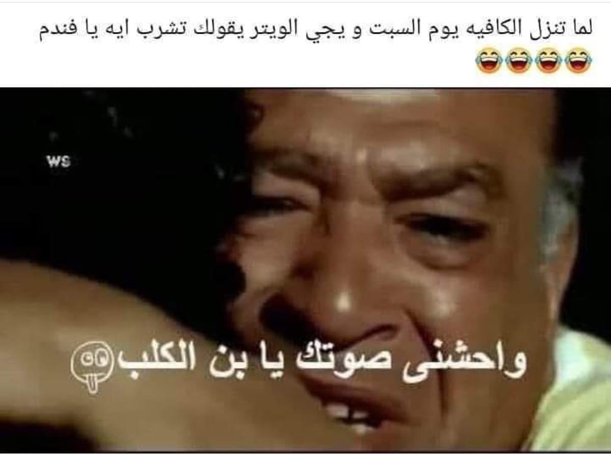 مش فاهم الإفيه فياريت اللي فاهم يفهمني عشان أضحك صح🤣