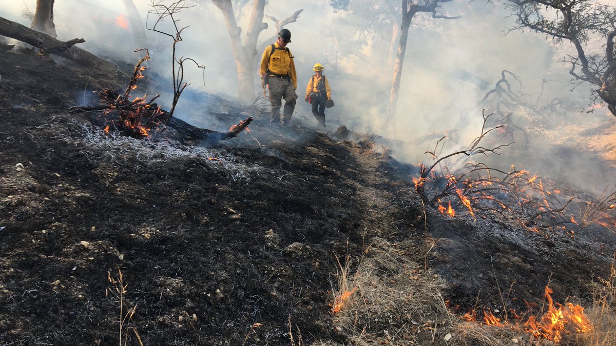 “Prescribed burns offer the rare opportunity to collect pre-fire data in addition to the post-fire data that’s normally available with wildfires,” says @brenucsb student Kaili Brande at a @nature_org training exchange at #UCSB’s Sedgwick Reserve. (5/8)