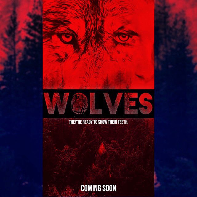 katie_chainsaw's tweet photo. I have been a tad busy lately 😉 updates to come 🫶🏻 https://t.co/NweffuPP6e
