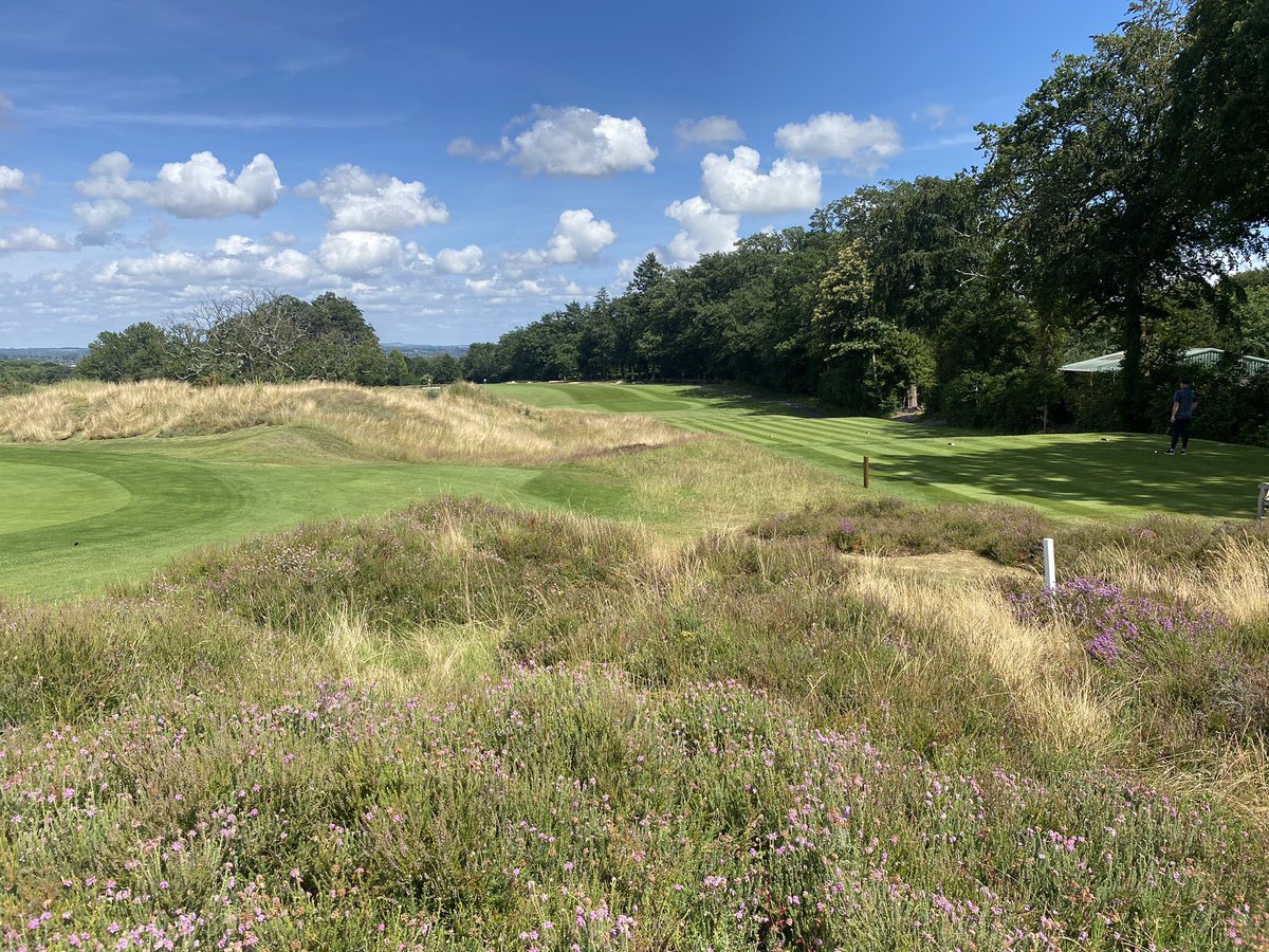 𝑀𝒶𝓉𝓉 𝒫𝓁𝑒𝓈𝓉𝑒𝒹 tweet media