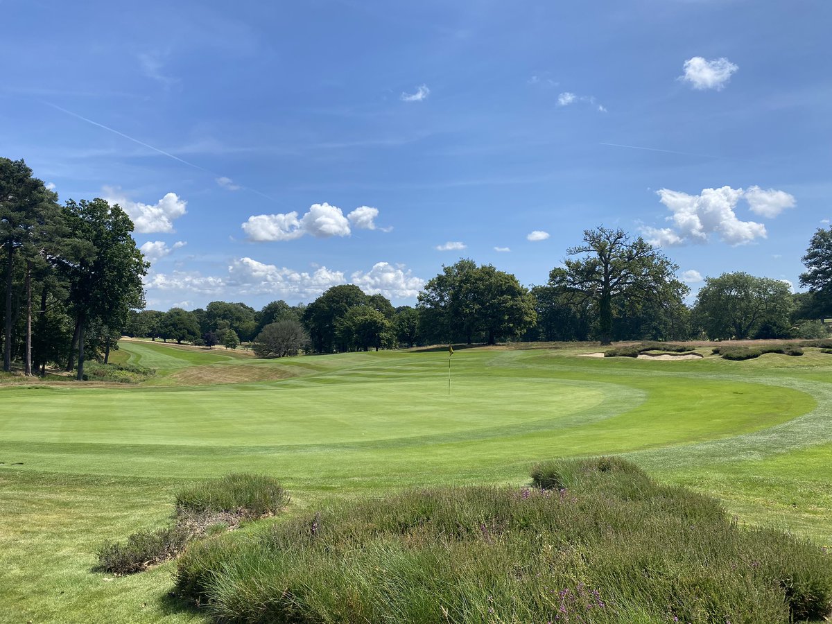 𝑀𝒶𝓉𝓉 𝒫𝓁𝑒𝓈𝓉𝑒𝒹 tweet media