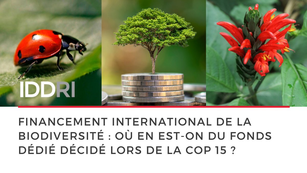 Le nouveau fonds ne pourra être transformateur que s’il permet d’activer plus de cohérence au sein des financements publics &amp; privés, qui ne devront plus agir en opposition ni éroder les efforts de conservation &amp; d’utilisation durable de la #biodiversité.
iddri.org/fr/publication…