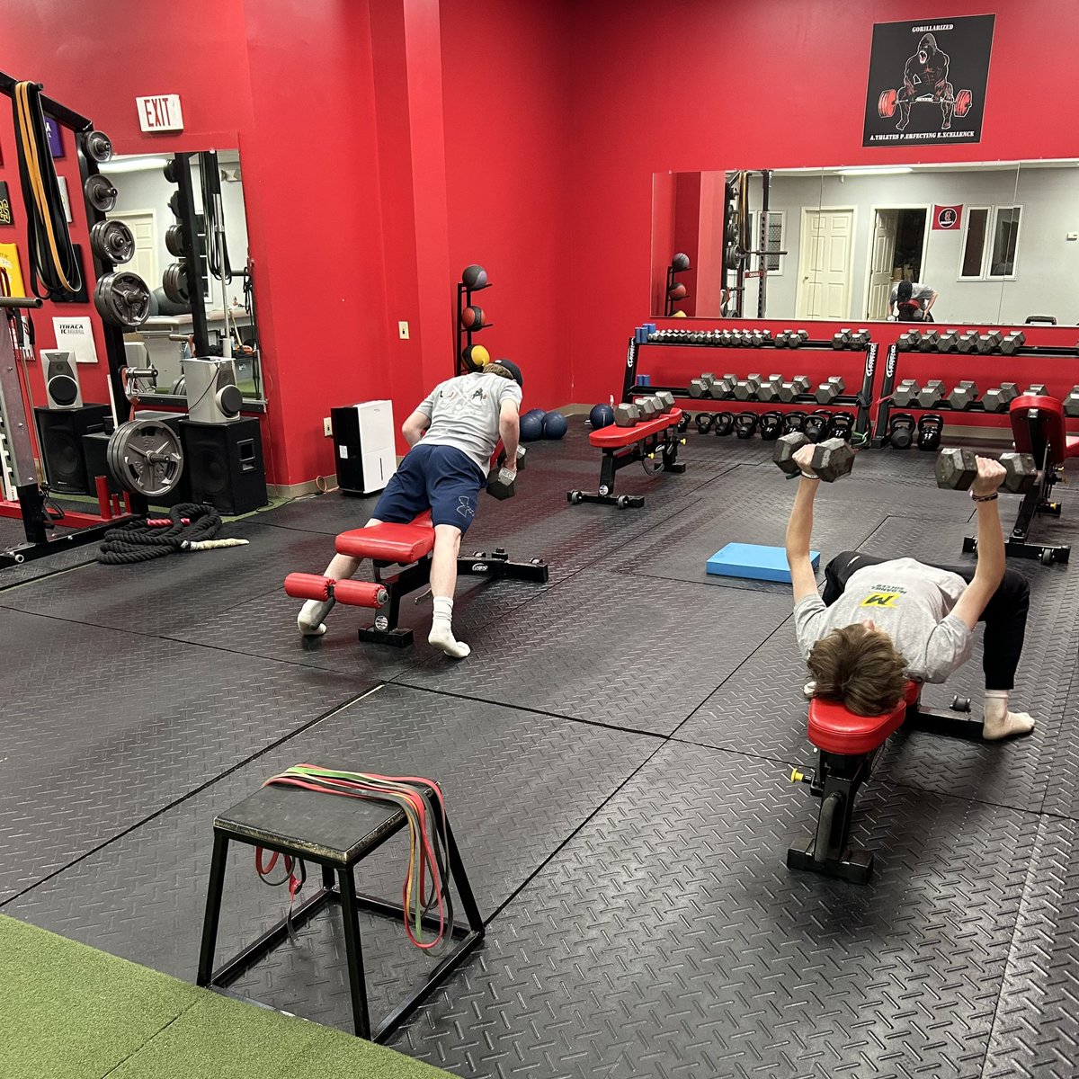 APE StrengthTraining tweet media