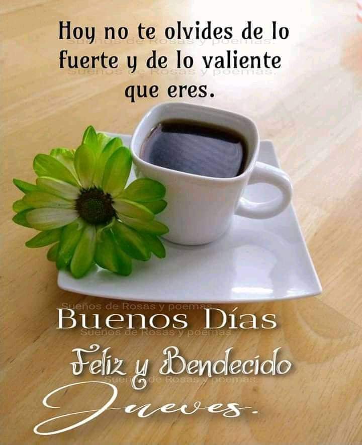 LupeRuiz02's tweet photo. https://t.co/MViYWEEwPU