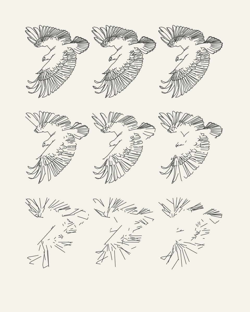 Tyler Hobbs Studio tweet media