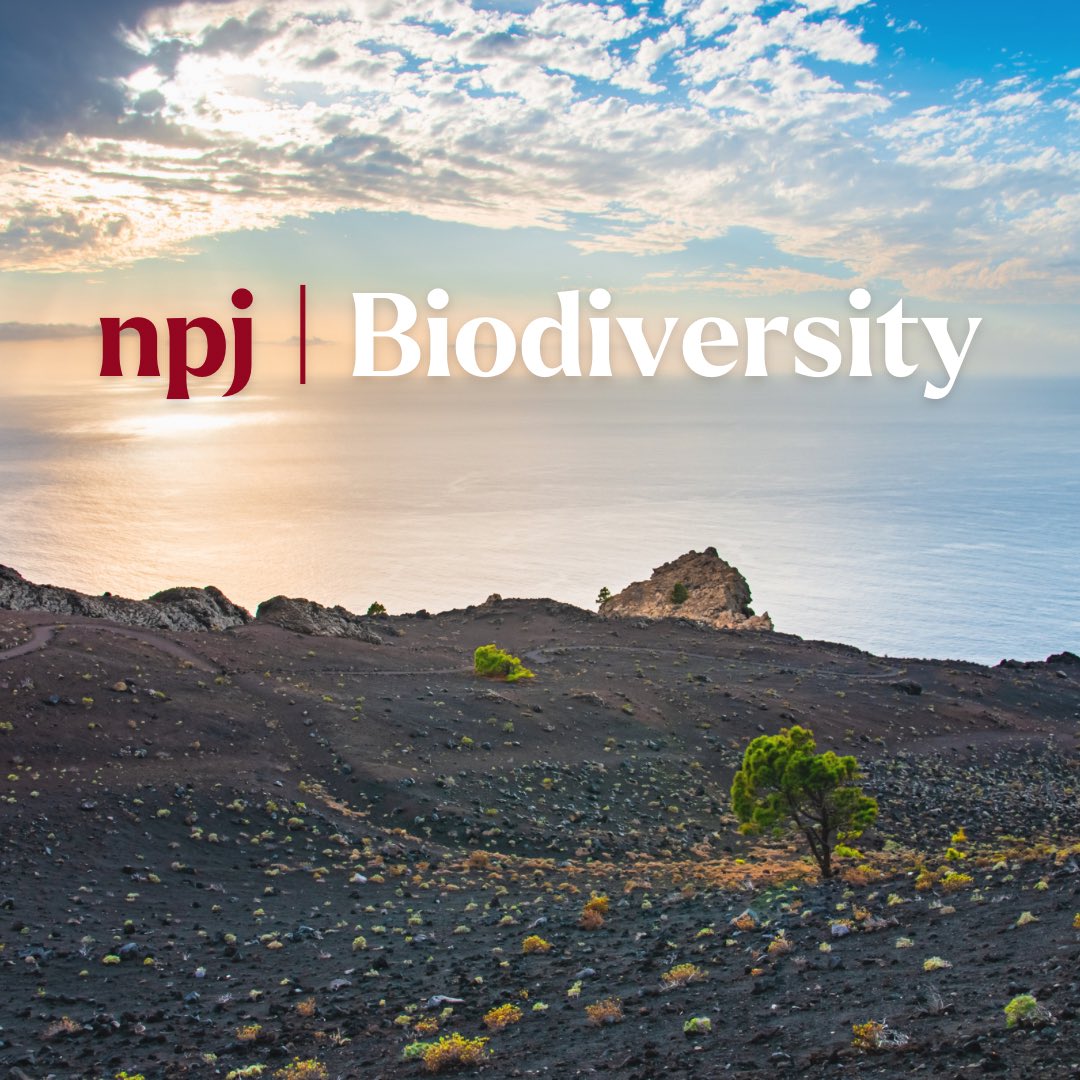 🌿 Recent volcanic eruption on La Palma influenced plant life forms and endemicity through ash deposition. This novel mechanism selects for woody perennials, contributing to the insular woodiness syndrome nature.com/articles/s4418…

#IslandBiology #Evolution #npjBiodivers