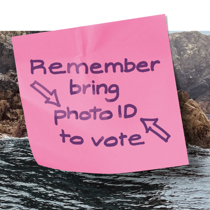 ElectoralCommUK's tweet photo. Voting in the Somerton and Frome by-election on 20 July? Make sure you bring photo ID to the polling station. Don’t have ID? You can apply for free voter ID at https://t.co/rR07KTeZ8x