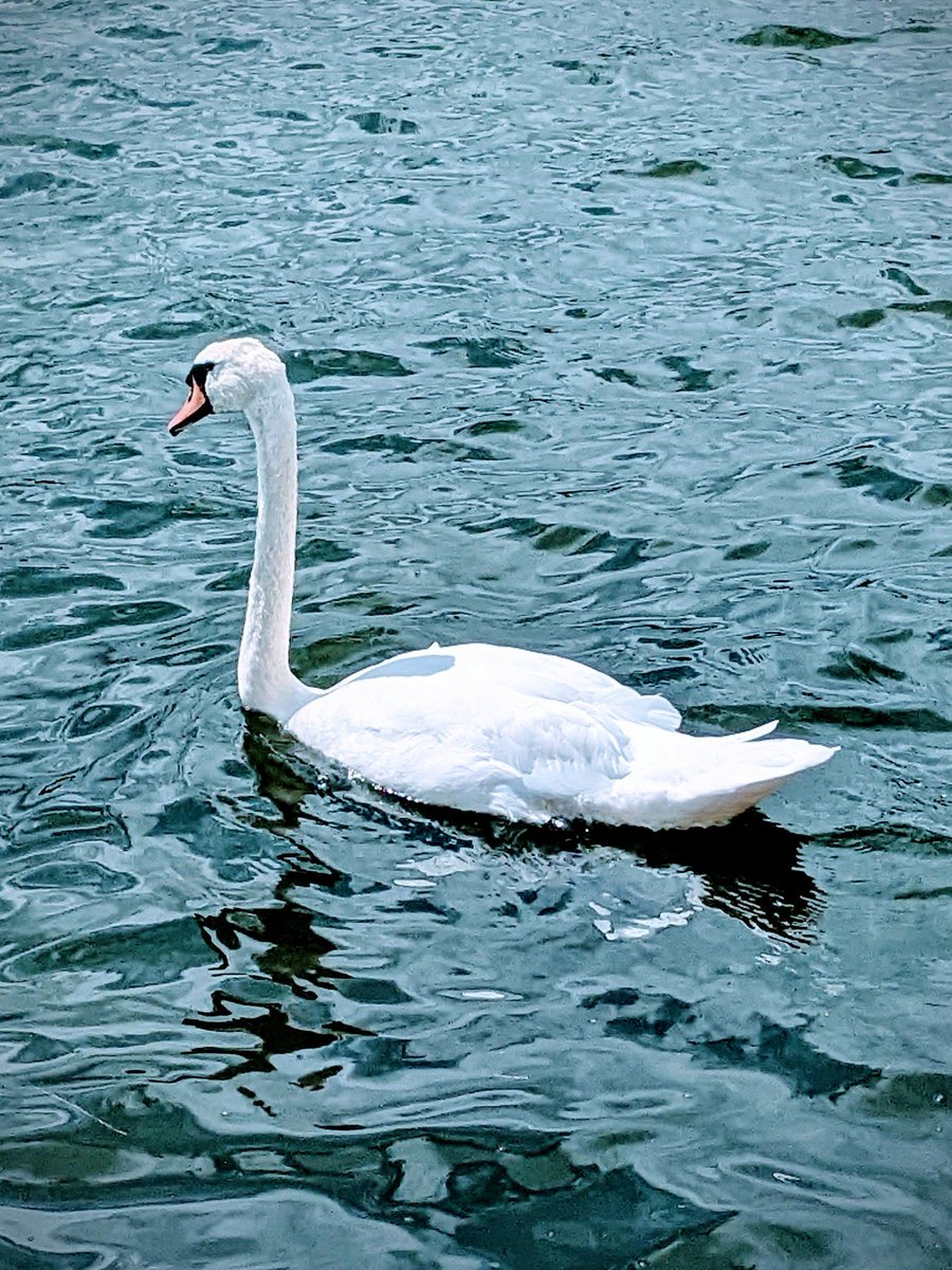 John (@nemoflexi) on Twitter photo 