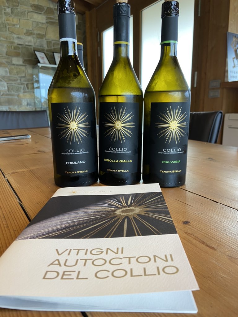 ChPaillet21's tweet image. Magnifique accueil à la #TenutaStella (Friuli) de la part d’Erika et Alberto 🙏. Les vins dégustés #RibollaGialla, #Friulano, #Malvasia, #RibollaGialla Riserva (orange) et #PinotNero, étaient excellents et finiront dans ma cave 😋
Merci @FabrizioBucella pour le conseil 😉