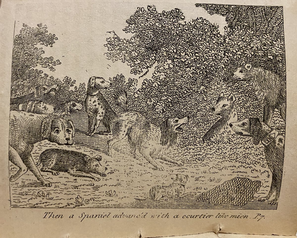 LairdRare's tweet image. Burning question for the hive-mind: does the 1809 Philadelphia edition of William Roscoe's "The Council of Dogs" contain the earliest American illustrations of dogs?