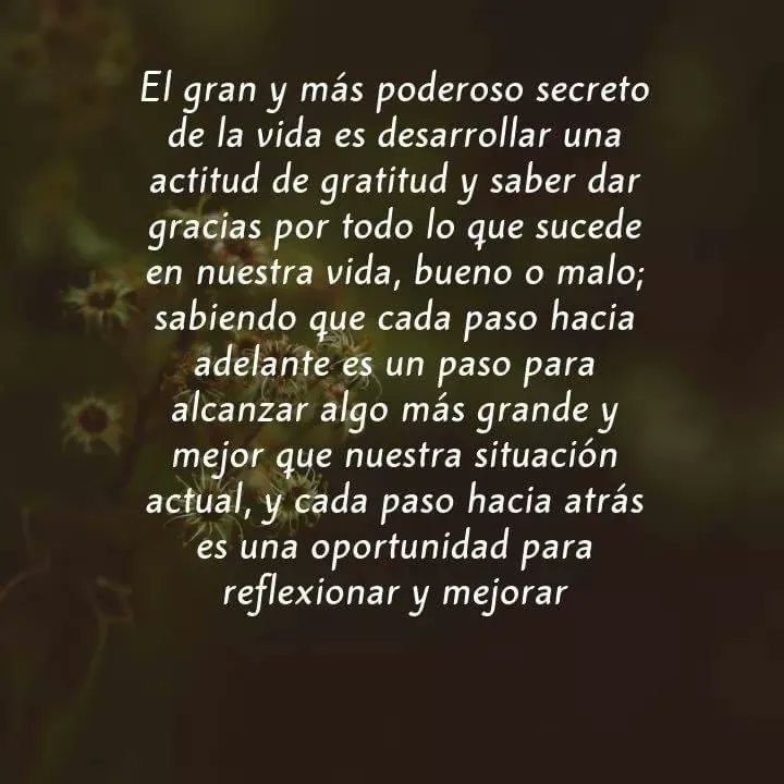 Paulo Coelho Español (@paulocoelhodice) on Twitter photo 