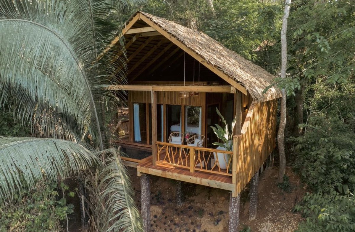 belizenyourself's tweet photo. Sweet Songs Jungle Lodge announces new eco-luxury Signature Treehouses #belize 

👉 Learn more: https://t.co/5hF2mEAX1Y

#jungleresort #adventuretravel #ecotourism #travelbelize #belizetravel #alwaysbelizeinyourself #belizeinyourself https://t.co/3uAWBfEYZ7