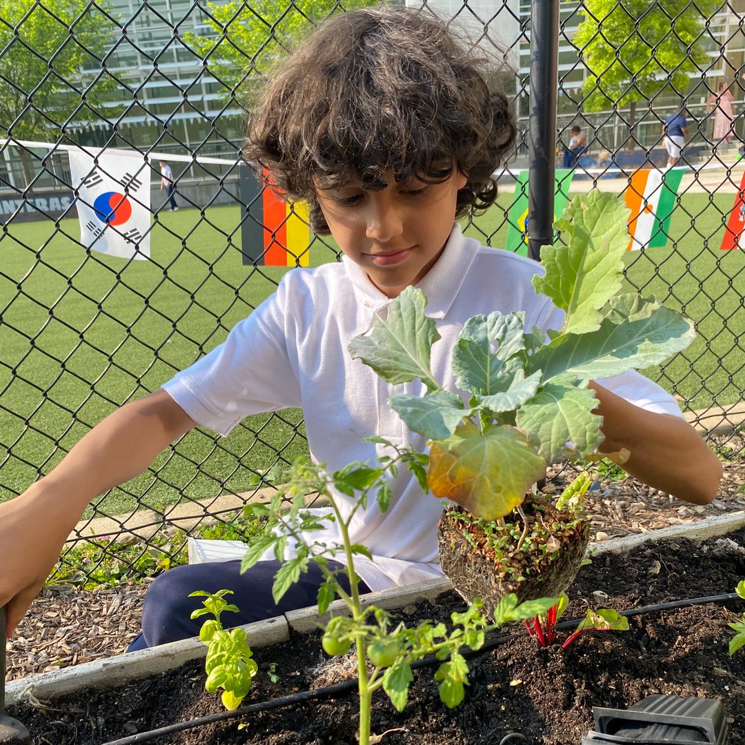 Our summer program is in full swing! 🍅🍓 FoodPrints will be cooking, growing, learning, and eating with students at 4 DCPS schools this summer. We are excited to get started with a joyful 5 weeks. #foodeducation #nutritioneducation #dcps #growcookeatlearn #dcgardeneducation