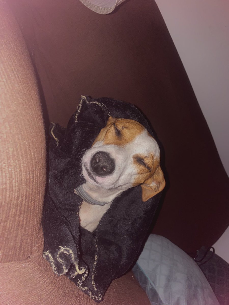 LidiaGE22's tweet photo. Está el aire a 25 y no puede dormir del frío, es real https://t.co/iFJo800Og4