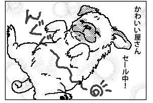 自分で決めたノルマおわた…
今日は鬼のようにTwitter動かしたけど大丈夫だったのでひとまず制限は終わった感じかな？
ｽﾚｯｽﾞもぼちぼちやりたいですね！
明日もオトナ女子漫研朝練！おやすみなさい♥️ https://t.co/gArIKv4V0U