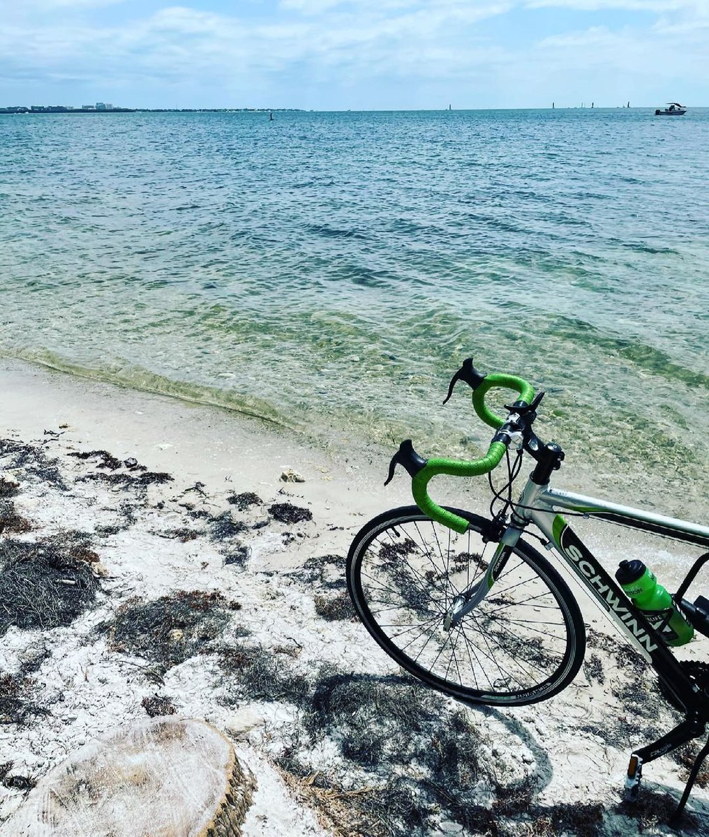 aaroncpogson1's tweet photo. Took a long needed bike to keybiscayne and found a tree stump right next to the water. #springbreak #nocrowds #miami #beach https://t.co/EI7AXqZO9N
