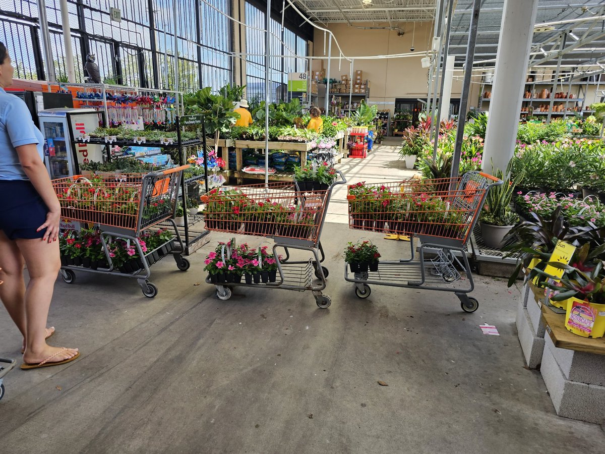 Gary Murphy (@gary_pbf) on Twitter photo HD204 Boca
Another Happy customer via
BULK BUY PRICING!! #Vinca #SummerColor! <a href="/wachitgrow/">Alex โ Navarro</a> <a href="/bjryan3/">bj ryan</a> <a href="/PureBeautyMag/">Pure Beauty</a> HD204 Boca
Another Happy customer via
BULK BUY PRICING!! #Vinca #SummerColor! <a href="/wachitgrow/">Alex โ Navarro</a> <a href="/bjryan3/">bj ryan</a> <a href="/PureBeautyMag/">Pure Beauty</a>