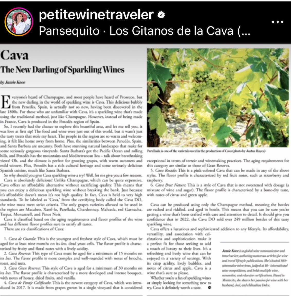 AWCSB's tweet image. Member News: AWC-SB member and resident wine expert Jamie Knee (@petitewinetraveler) has a new story in the Montecito Journal, "Cava: The New Darling of Sparkling Wines." ow.ly/4LnS50P292l