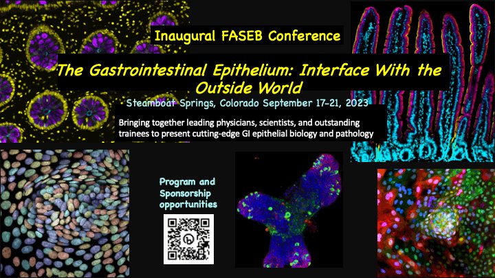 📢📢📢 1 week left for abstract submission for the inagural 🥇 GI Epithelium #conference!  <a href="/FASEBorg/">FASEB</a> 
ow.ly/auwt50ONrGG
please retweet 📩