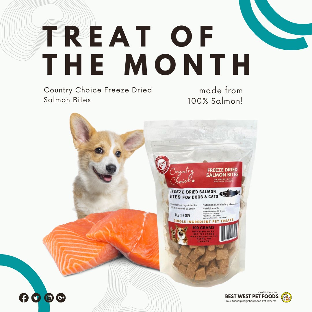 🐾 Treat of the Month! Indulge your pets with Country Choice Freeze Dried Salmon Bites. 😻🐶
Perfect for training sessions, rewarding good behavior, or simply showing your pet some love, our Country Choice Salmon Bites are a healthy and satisfying treat choice.
#TreatOfTheMonth