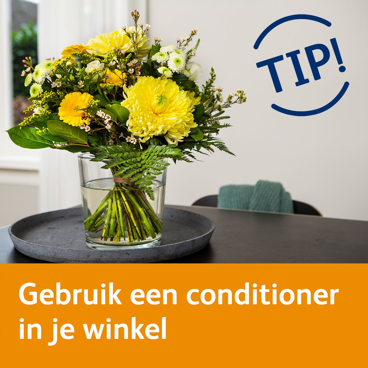 Chrysal Benelux tweet media