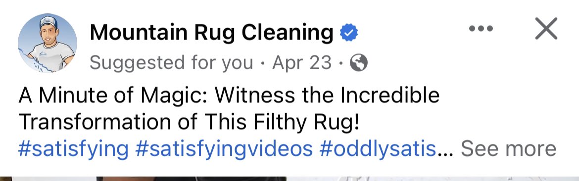 katiegoldbergg's tweet photo. this shit lights a fire in my soul. there is nothing i love more than a filthy rug getting the shower of a lifetime so it can sparkle and gleam. i read this headline, i know im having a good day. https://t.co/2VL7NRKjSU