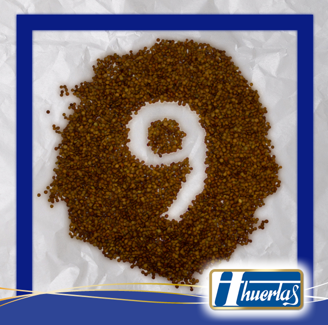 Nueve años compartiendo contigo ¡Aniversario en Twitter!!