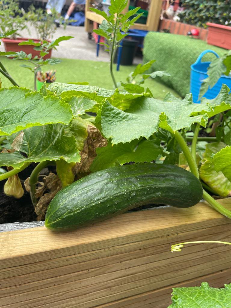 Year 2 Bryn Coch tweet media