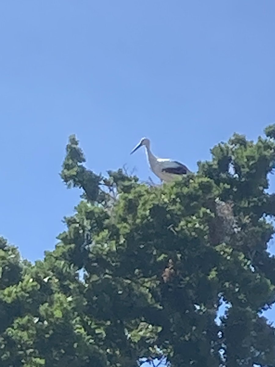 Barbara Fowlds tweet media