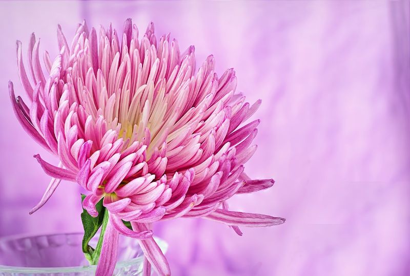 SealeHealth's tweet photo. Kundalini Yoga &amp; Sound, Reiki, Retreat Day, Drum &amp; Chant 
Events &amp; Therapies - https://t.co/NAMSYdnCXL https://t.co/4xgMCJwU6i