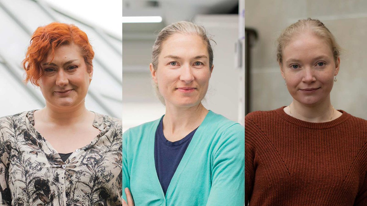 Research – Toronto Metropolitan University tweet media