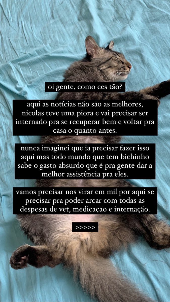 thatperrygurl's tweet photo. galera de recife - pe !!!!!

nicolas, nosso gatinho, tá doente e estamos tentando de todas as maneiras ganhar essa grana pra custear o internamento dele que é urgente 😞 vocês me ajudam tatuando comigo ou dando essa força na divulgação! agradeço demais 🙏🏽 https://t.co/dzI0Q1D3uX
