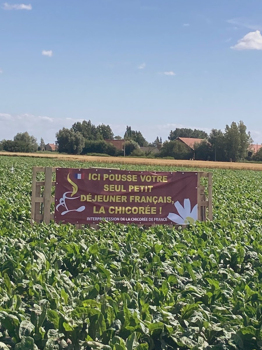 Marine Cordonnier tweet media