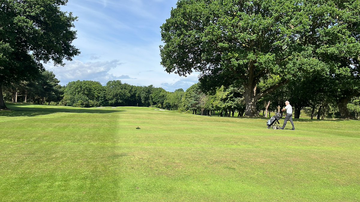 How good does the ninth look? What iron are you playing in from between the trees?