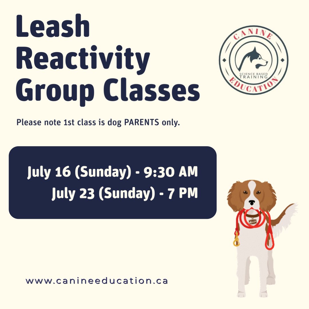 fromwooftowow's tweet image. #dogtrainer #sciencebasedtraining #canineeducation #positivereinforcement #mtldogs #westislandcommunity #DogTraining #leashreactivity #dog #walkyourdog