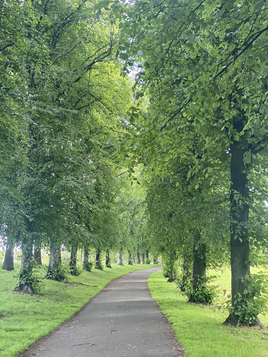 Rose_Fitzp's tweet image. In reflective mood today, back in the place that helped me find a path through lockdowns, with the latest in a long line of books to take me to other places. 

Hopeful, too, as @SuicidePrevScot gets underway. 

And so so grateful to have a role to play in
#CreatingHopeTogether