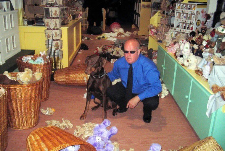 This is Barney. He's the dog behind the Teddy Bear Massacre. In 2006, a museum in western England opened an exhibit of rare teddy bears that was valued at over $900,000…