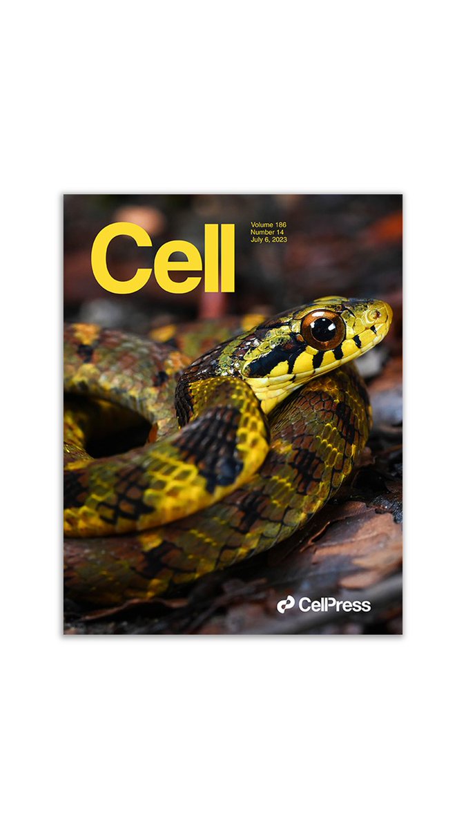 The new issue is out! Featuring large-scale snake genome analyses, the characterization of the non-industrialized human gut microbiome, and the features of primary tumors with chromosome Y loss. #Newissue cell.com/cell/current