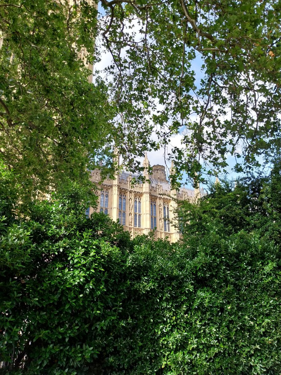 We’re on our way to the <a href="/UKHouseofLords/">House of Lords</a> for our 2023 #RisingStarAwards ceremony! We can’t wait to meet the winners in person 💙