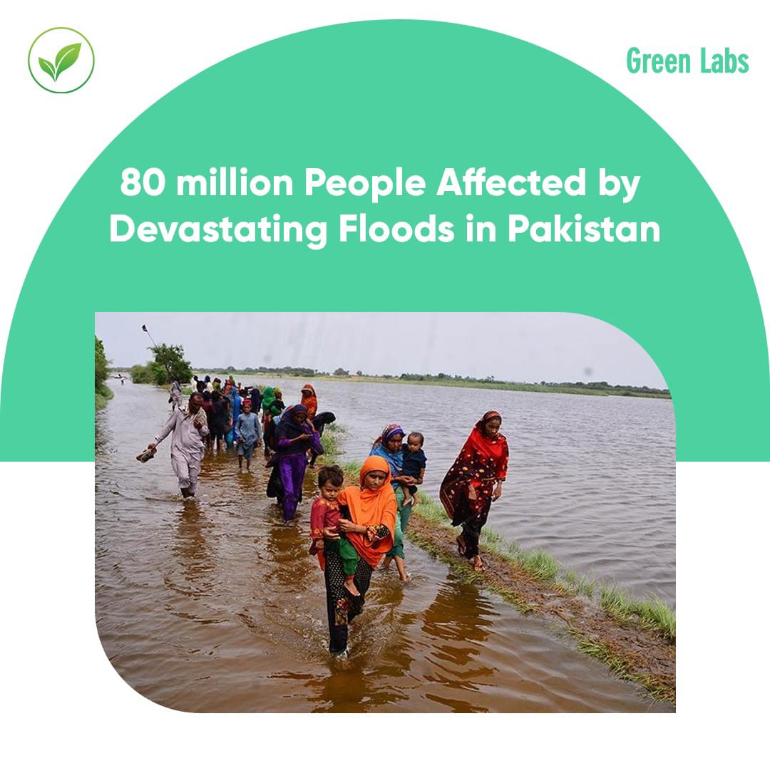 🔥🌡️Global warming is endangering lives globally. 80 million people in Pakistan are affected by the floods. 👫🌍
Learn More: greenlabs.cc
 #ClimateAction #PakistanFloods #ClimateCrisis #GlobalWarmingImpact #ActForChange #SustainableFuture #ProtectOurPlanet