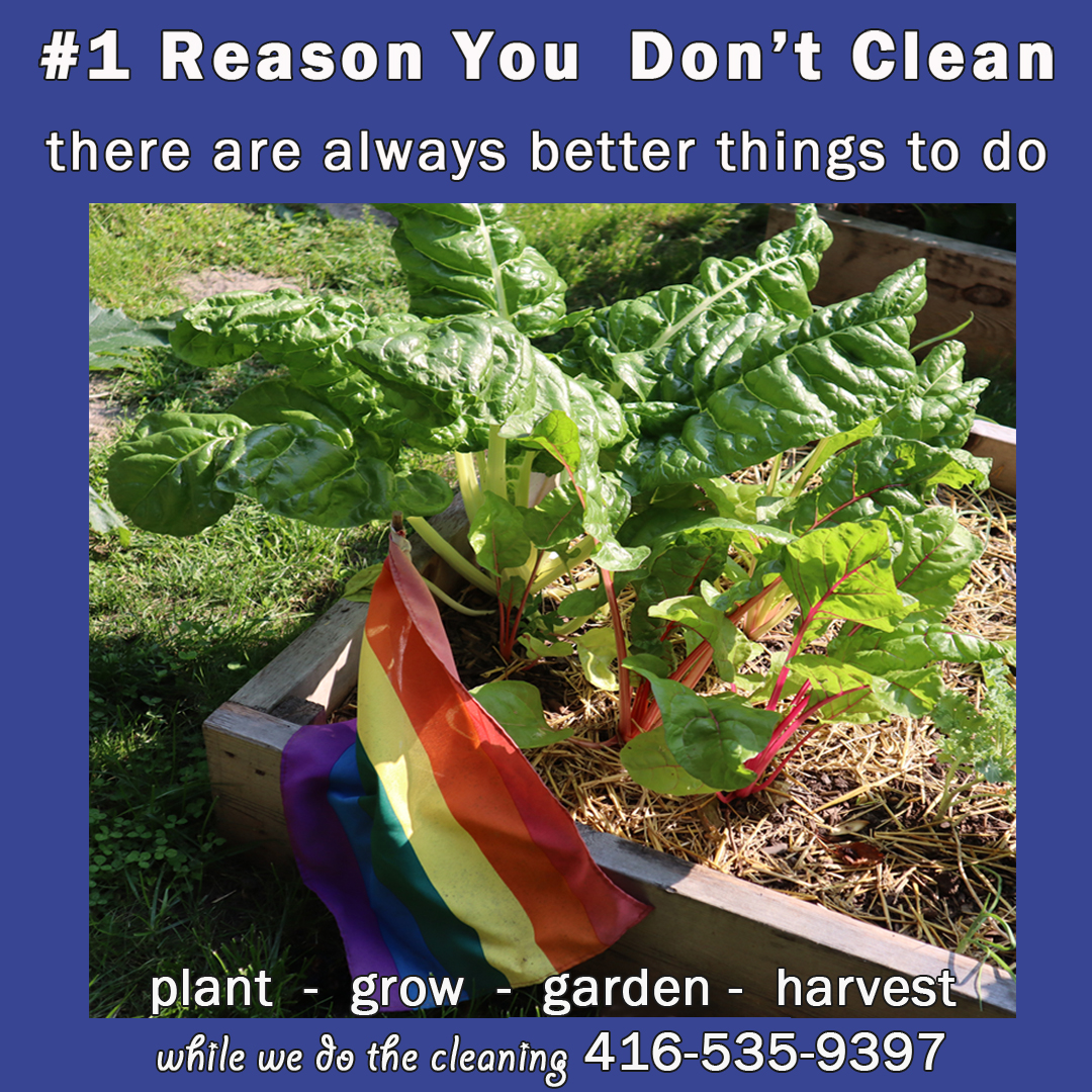 EarthConcernsCleaning tweet media