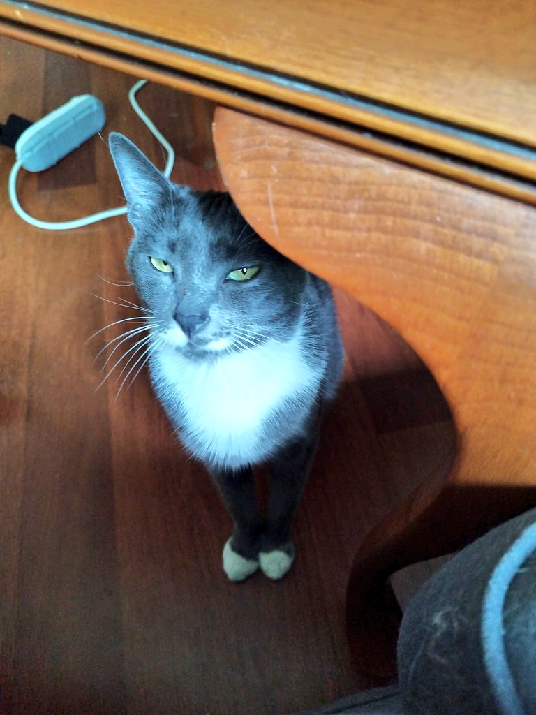 Nietzsche ve Stalin bıyıklarımın bokunu yesin