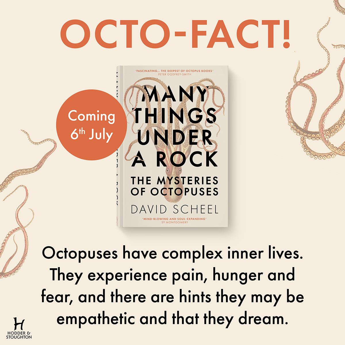HodderBooks's tweet photo. Ever wondered what it's like to be an octopus? 🐙

It's publication day for #ManyThingsUnderARock, a riveting new exploration of the octopus from world-leading scientific expert David Scheel.

Get your copy now: https://t.co/Xf6FeOAvAd https://t.co/fH41Epnxb4