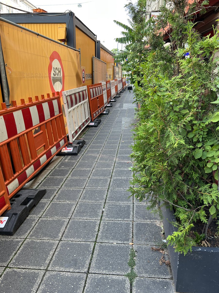 nomi 🇮🇱 tweet media