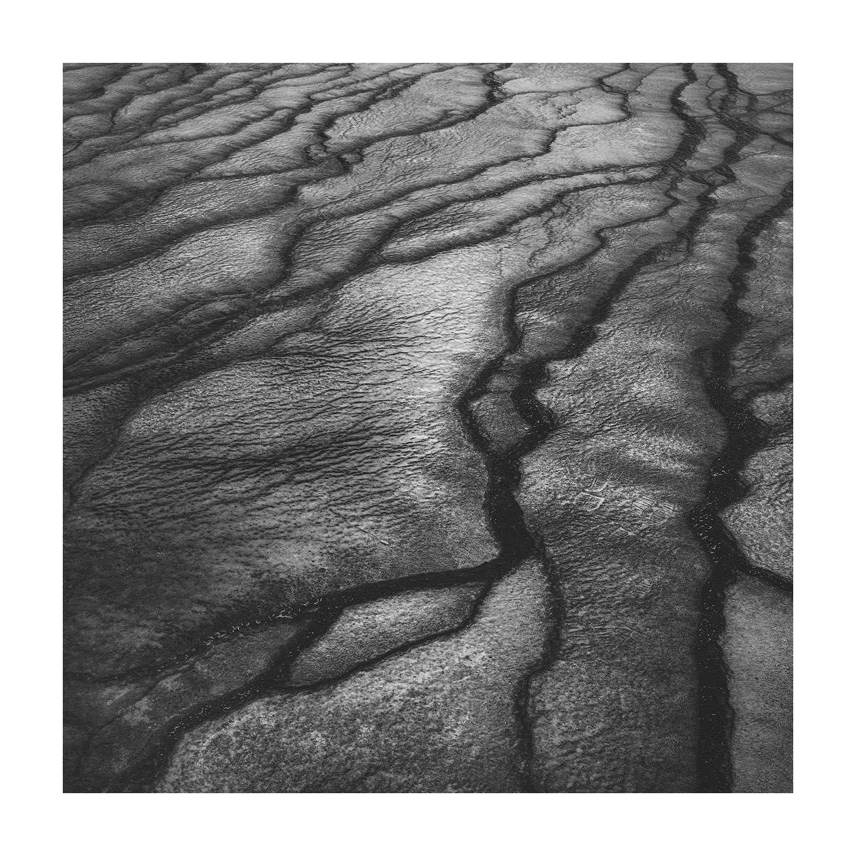 Arild Heitmann tweet media