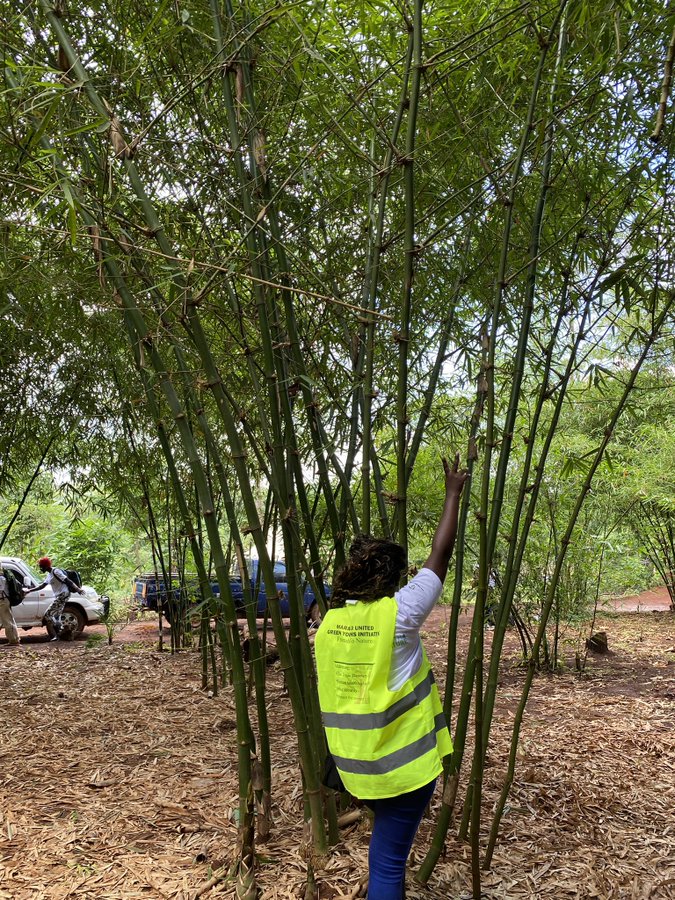 WalterOsigai1's tweet photo. Every time you celebrate your birthday, plant trees equal to the figures of your new age.
@onetreeplanted
#onetreeplanted
#treeambassador https://t.co/FSEr25HM1F