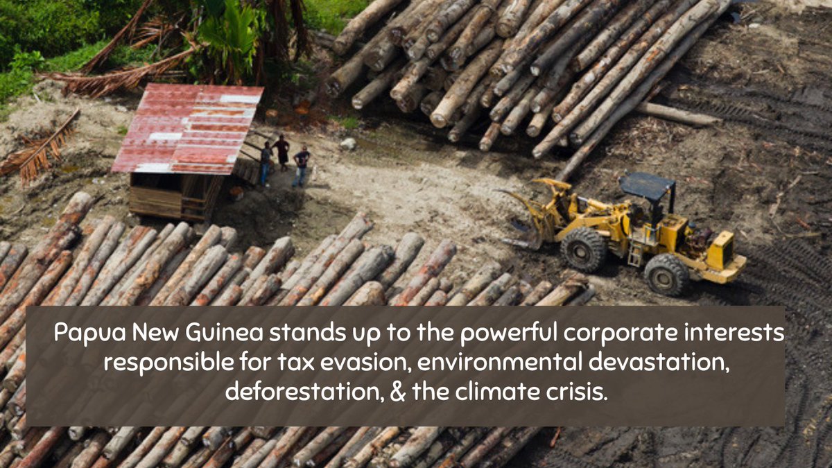 oak_institute's tweet photo. Historic fine imposed on a logging firm in #PNG after investigations by the Oakland Institute exposed logging firms evaded corporate income tax for decades by claiming losses every year, despite exports of millions of cubic meters of #tropicaltimber. 

https://t.co/nToNo4KA10 https://t.co/TH7BdJLWVP