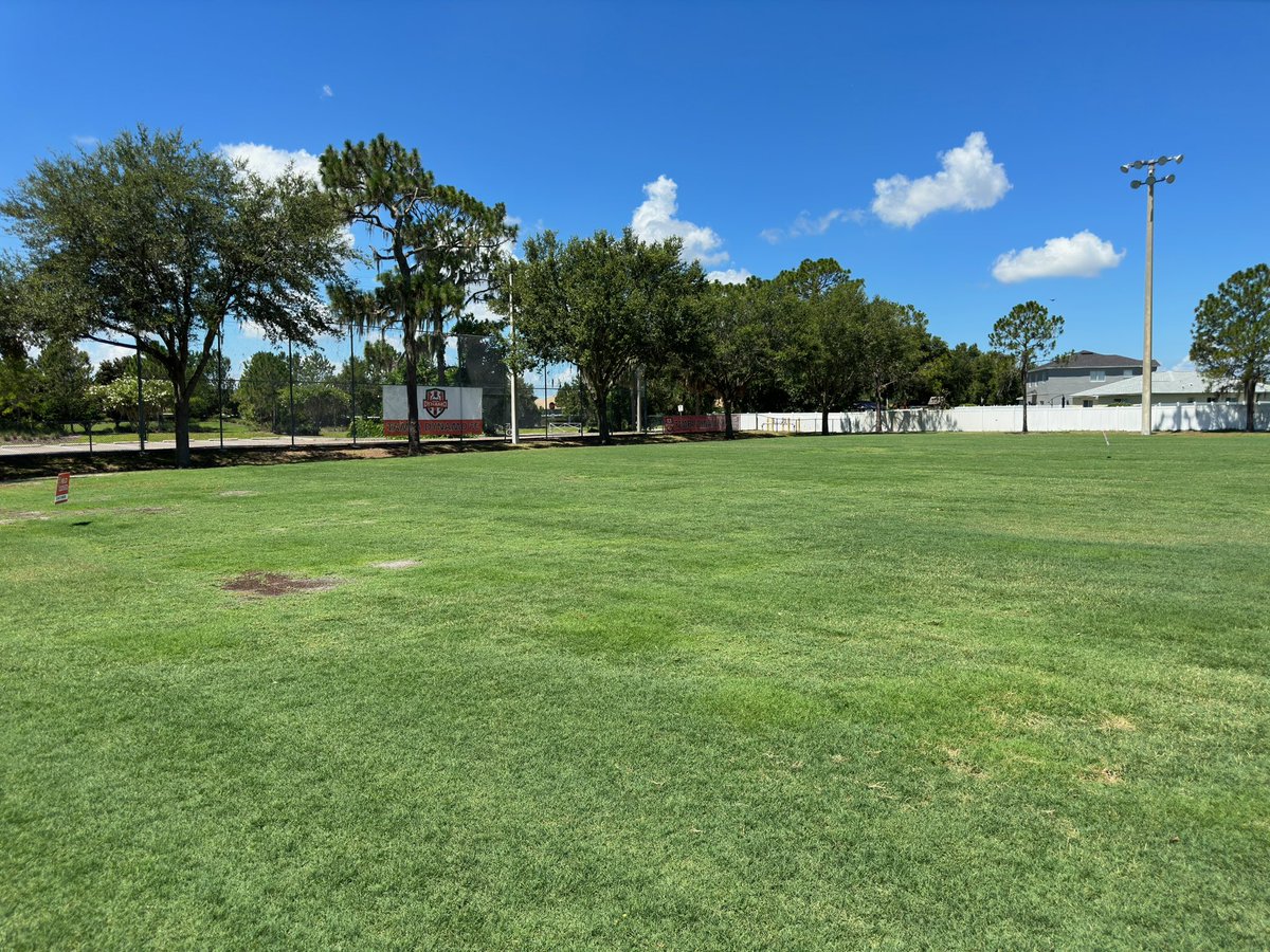 Mark Singleton tweet media